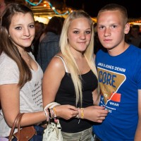 ANTNmania 2013