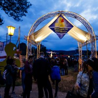 ANTNmania 2017