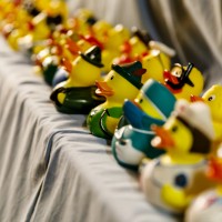 ANTNmania 2017