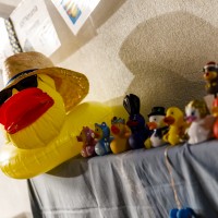 ANTNmania 2017