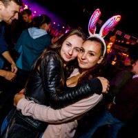 ANTNmania 2019